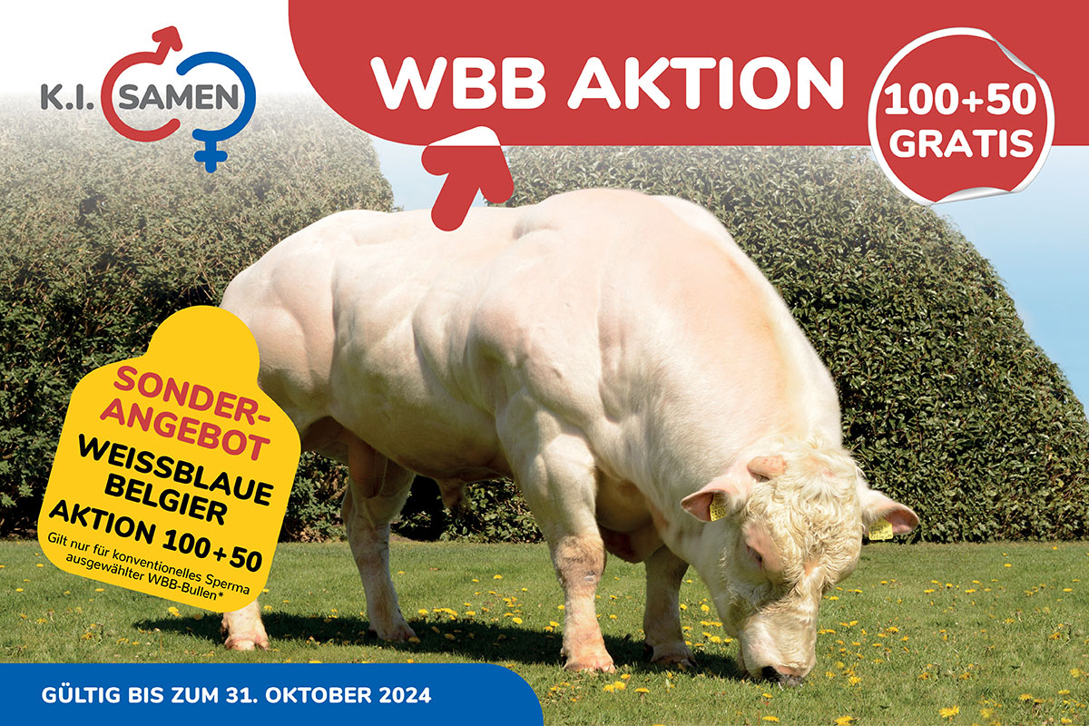 special-offer-actie-bwb-de