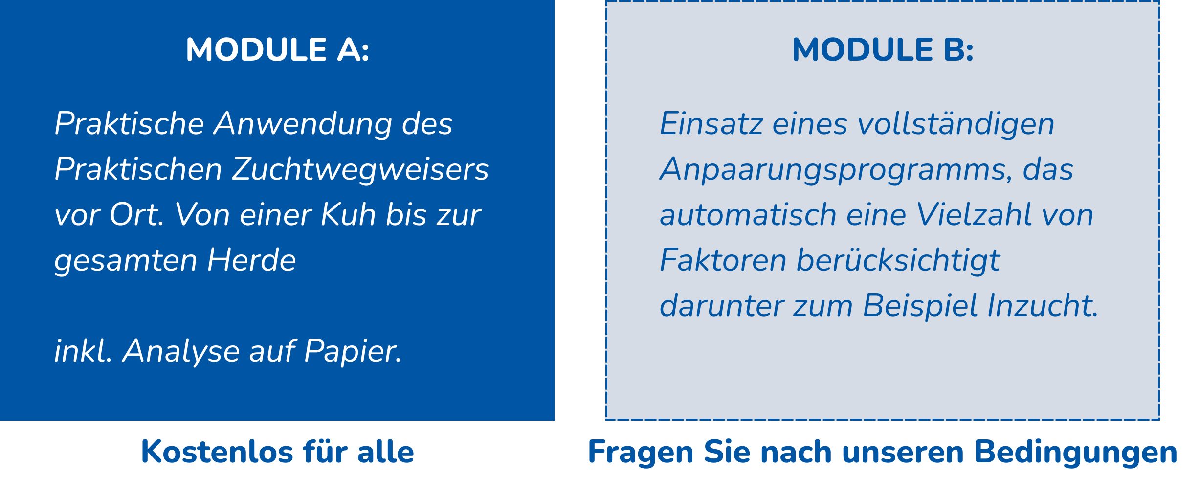 Jouw alineatekst Jouw alineatekst