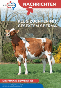 Nachrichten september 2025