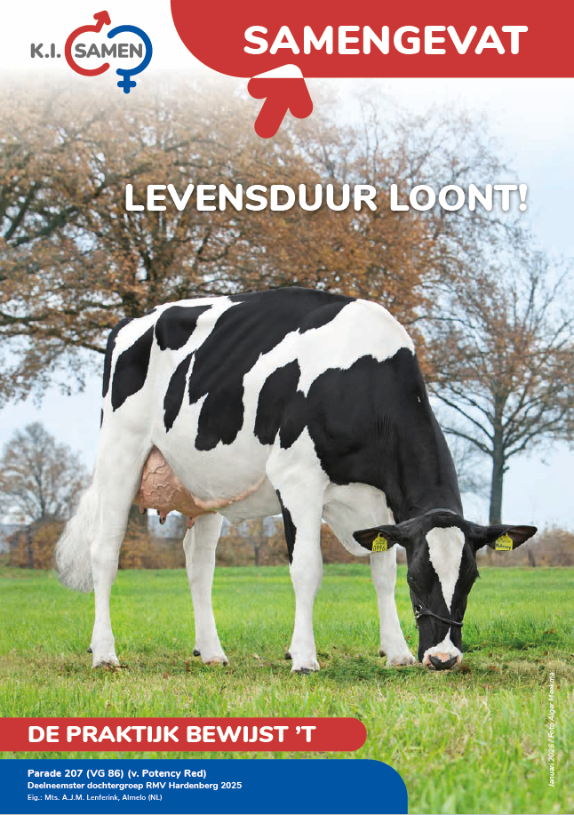 Cover magazine mei 2025