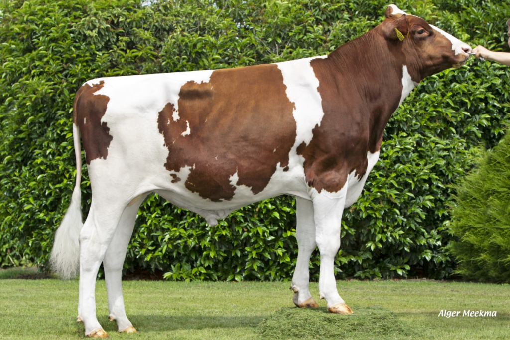 UITGELICHTE FOTO WEBSITE 1200X800 (8)